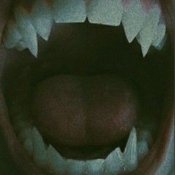 lilvampirewife